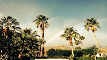 California Behavioral Health