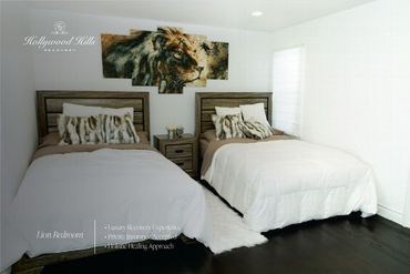 Hollywood Hills Recovery