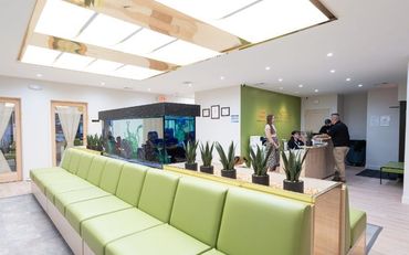 Bold Steps Behavioral Health