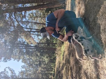 Healing Pines Recovery