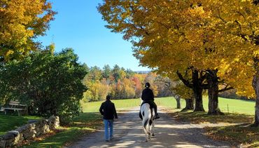 Ridge RTC for Teens - New Hampshire