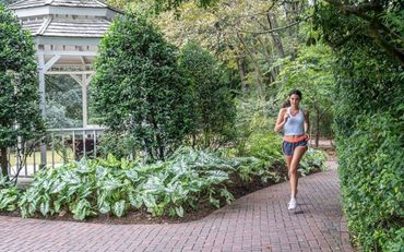 J. Flowers Health Institute