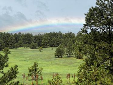Healing Pines Recovery