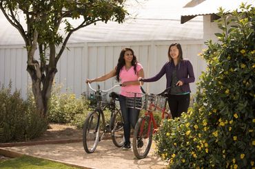 Asana Recovery Drug and Alcohol Rehab Centers Orange County CA