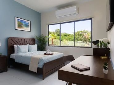 The Haven Detox - Puerto Rico