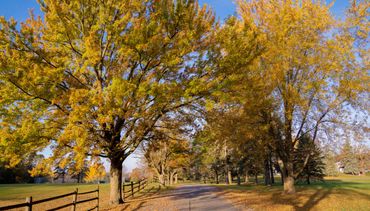 Beauterre