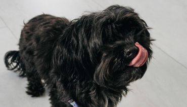 Recovery Unplugged - Mental Health